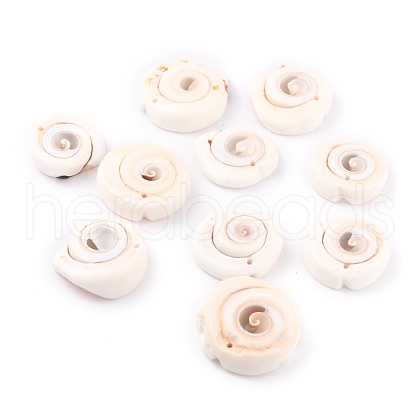 Natural Spiral Shell Pendants BSHE-B003-11-1