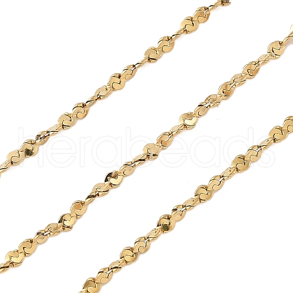 304 Stainless Steel Chains CHS-L001-170-0.5mm-G-1