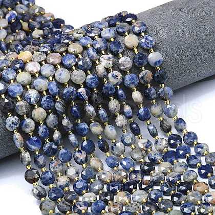 Natural Sodalite Beads Strands G-C116-A80-02-1