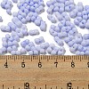 Macaron Color Opaque Frosted Glass Seed Beads X1-SEED-K009-12B-12-4