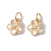 Rack Plating Alloy Charms X-FIND-G036-02LG-1