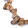 Natural Picture Jasper Nuggets Beads Strands G-B125-A10-01-3