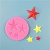 Food Grade Silicone Molds X-DIY-E018-08-1