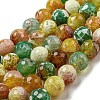 Faceted Natural Fire Crackle Agate Beads Strands G-F447-12mm-M01-2