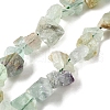Natural Fluorite Beads Strands G-S386-B01-2