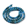 Natural Apatite Beads Strands G-J373-21-5.5mm-01-2