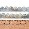 Natural Aquamarine Beads Strands G-P342-11-8mm-AB-02-3