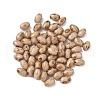 60Pcs 10G Baking Paint Glass Seed Beads GLAA-V001-06C-1