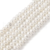 Electroplated Shell Pearl Beads Strands BSHE-Z009-11B-1