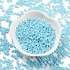 Baking Paint Glass Seed Beads SEED-A033-05P-2