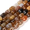 Natural Agate Beads Strands G-F781-A02-01-2
