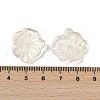 Transparent Glass Beads DGLA-E004-02K-3