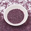 MIYUKI Delica Beads X-SEED-J020-DB1757-1