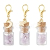 Natural Amethyst Chips inside Glass Wishing Bottle Pendant Decoration HJEW-JM03307-04-2