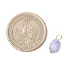 20Pcs Opaque Baking Painted Crackle Glass Charms PALLOY-JF03952-03-3