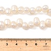 Natural Cultured Freshwater Pearl Beads Strands PEAR-I007-04F-01A-5