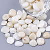 Sea Shell Beads SSHEL-S258-71-3