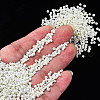 Glass Seed Beads SEED-S060-A-F207-10