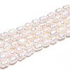 Natural Cultured Freshwater Pearl Beads Strands PEAR-N012-02N-5