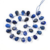 Natural Lapis Lazuli Beads Strands G-R435-15D-01-2
