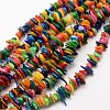 Dyed Chip Natural Freshwater Shell Beads Strands SHEL-E355-16-1
