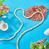  1 Strand Natural Trochus Shell Rondelle Beads Strands SSHEL-TA0001-16B-5