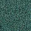 TOHO Round Seed Beads SEED-XTR11-1833-2