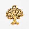 Tibetan Style Alloy Pendants GLF10394Y-NF-1