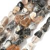 Raw Rough Natural African Black Opal Beads Strands G-M453-D02-2