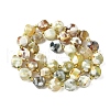 Natural Fire Crackle Agate Beads Strands G-U023-A16-02-3