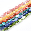 Natural White Shell Beads Strands SHEL-N036-21-1
