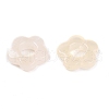 Gradient Color Transparent Acrylic Beads OACR-N137-49P-2
