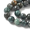 Natural Dioptase Beads Strands G-D302-02-8mm-4