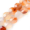Natural Agate Beads Strands G-H024-A01-02-2