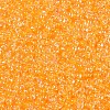 8/0 Glass Seed Beads SEED-A015-3mm-2202-2