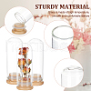 Glass Dome Cover DJEW-WH0034-77C-4