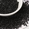 12/0 Transparent Glass Seed Beads X-SEED-F003-03C-08-1