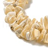 Natural Trochus Shell Beads Strands SHEL-K006-38-3