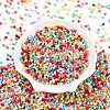 8/0 Opaque Colours Glass Seed Beads SEED-N007-04-2