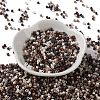 Baking Paint Glass Seed Beads SEED-S042-05A-16-2