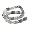 Natural Cloudy Quartz Beads Strands G-F790-C01-01-3