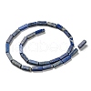Natural Lapis Lazuli Beads Strands G-C084-C01-01-3