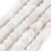Natural Rainbow Moonstone Beads Strands G-P497-01C-63-2