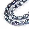 Natural Cultured Freshwater Pearl Beads Strands PEAR-N014-08K-4