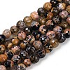 Natural Fire Crackle Agate Beads Strands G-C082-A01-45-2