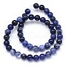 Round Natural Sodalite Beads Strands G-F222-39-12mm-3