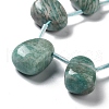 Natural Amazonite Beads Strands G-P528-E04-01-3