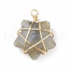 Natural Gemstone Pendants PALLOY-JF01457-01-2