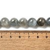 Natural Aquamarine Beads Strands G-I349-A01-01F-4