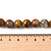 Natural African Opal Beads Strands G-S390-06-10mm-5